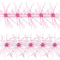 Tumble Weed