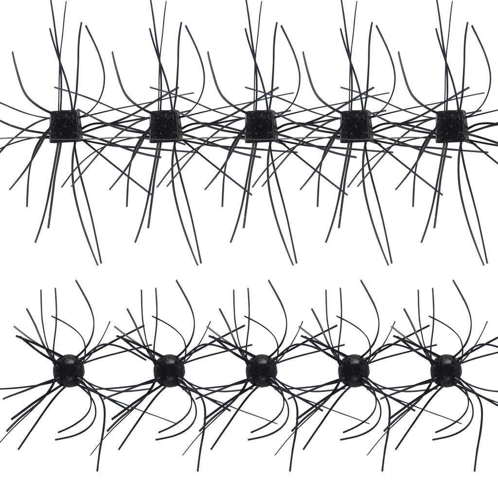 Tumble Weed
