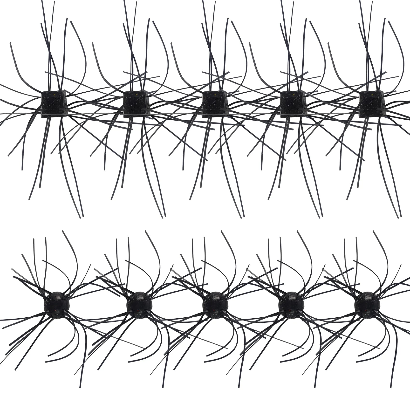 Tumble Weed