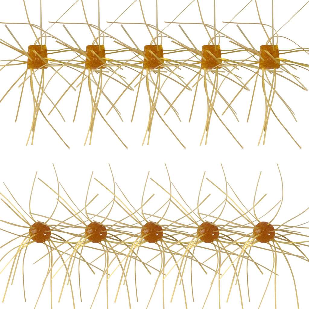 Tumble Weed