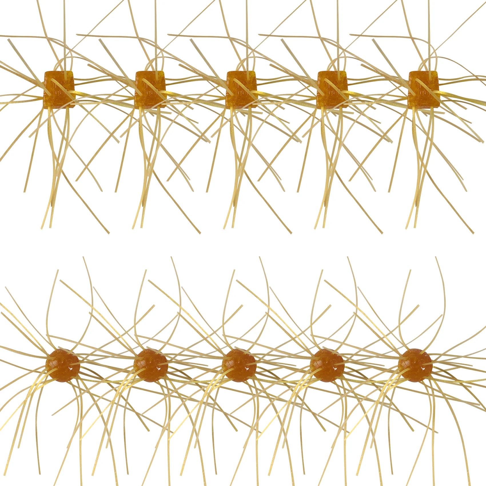 Tumble Weed